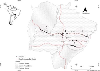 Moderate Genetic Diversity and Demographic Reduction in the Threatened Giant Anteater, Myrmecophaga tridactyla